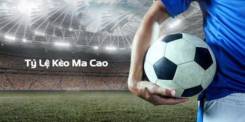 tỷ lệ cá cược Ma Cao Các dạng tỷ lệ cá cược Ma Cao phổ biến tại Sunwin