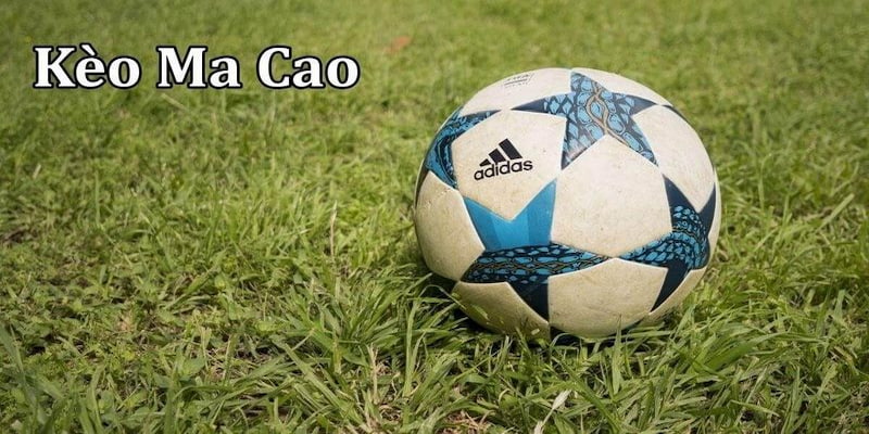 tỷ lệ cá cược Ma Cao Tỷ lệ cá cược Ma Cao là gì?
