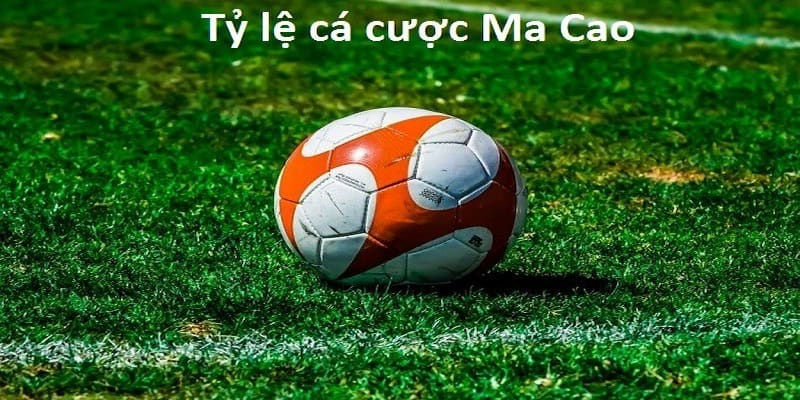 tỷ lệ cá cược Ma Cao Ưu điểm khi chơi theo tỷ lệ cá cược Ma Cao tại Sunwin
